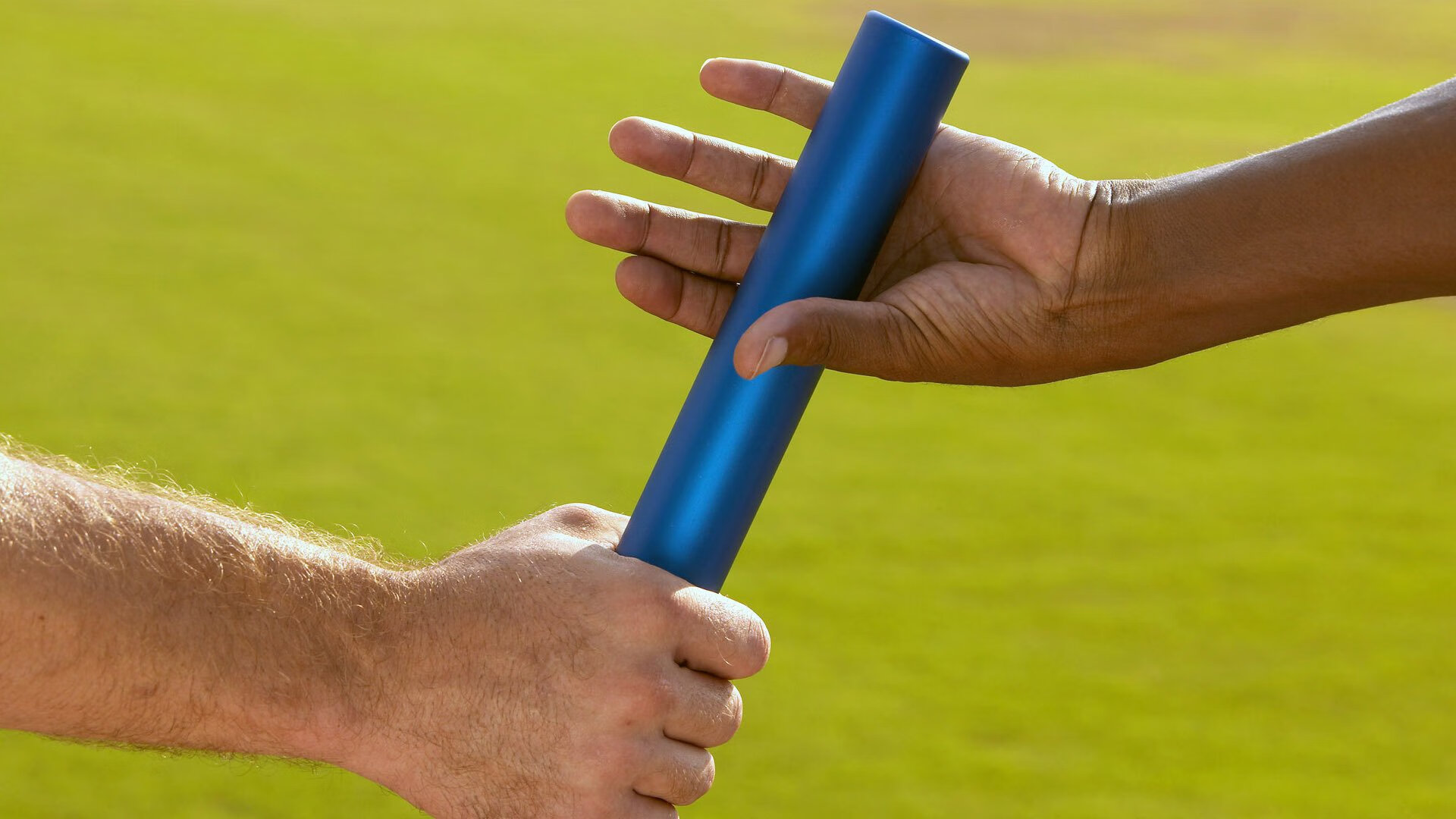 世界大学生游泳锦标赛中国队表现强势，男女接力斩获多金，全国大学生游泳锦标赛项目